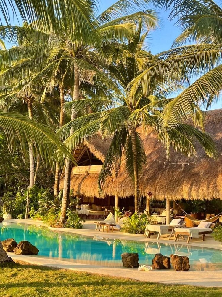 A swimming pool surrounded by palm trees and a thatched hut.