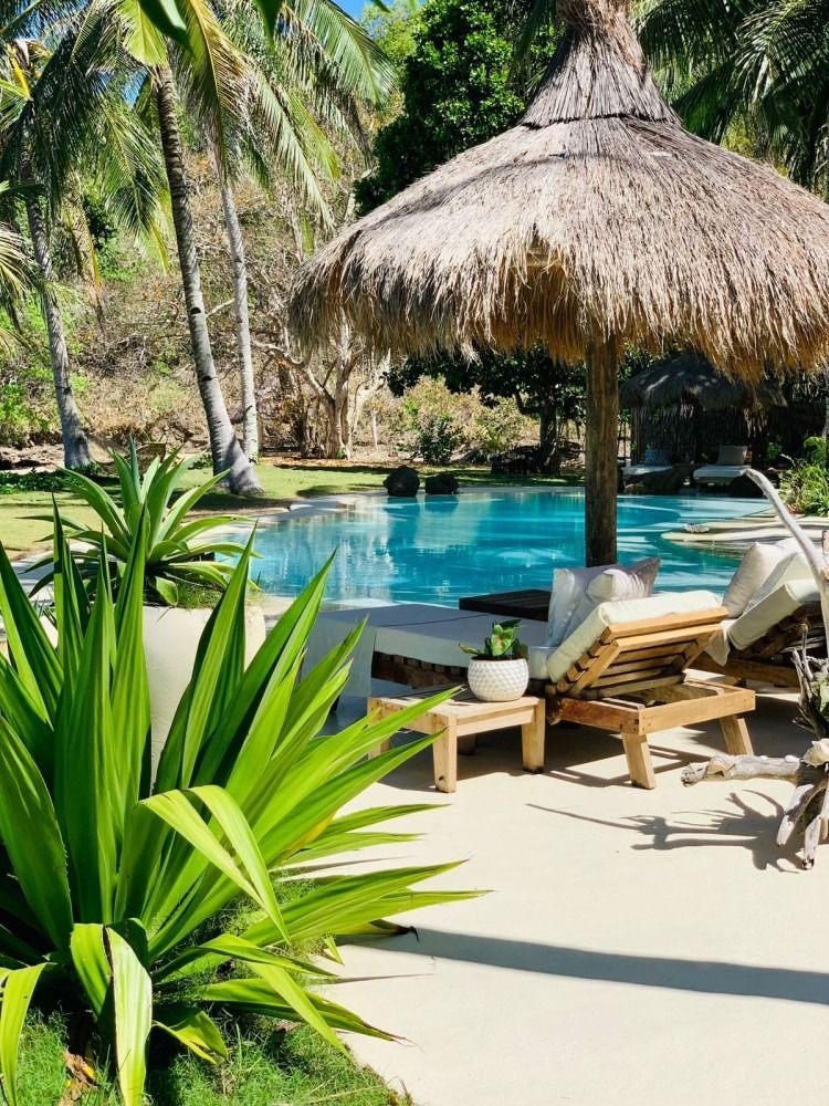A thatched umbrella is sitting next to a swimming pool surrounded by palm trees.