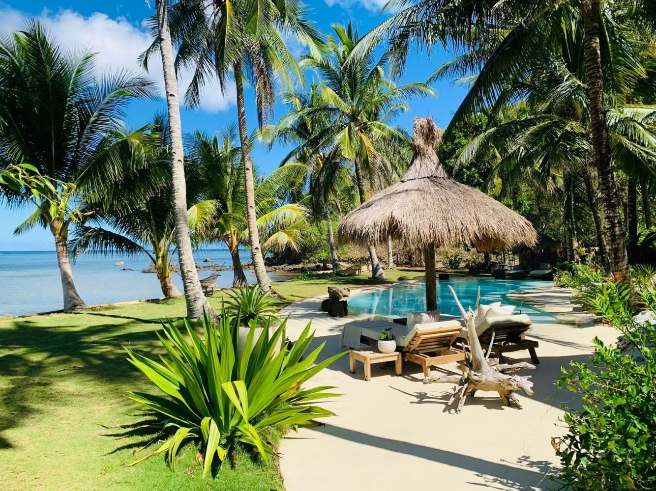 A swimming pool surrounded by palm trees and chairs on a tropical beach.