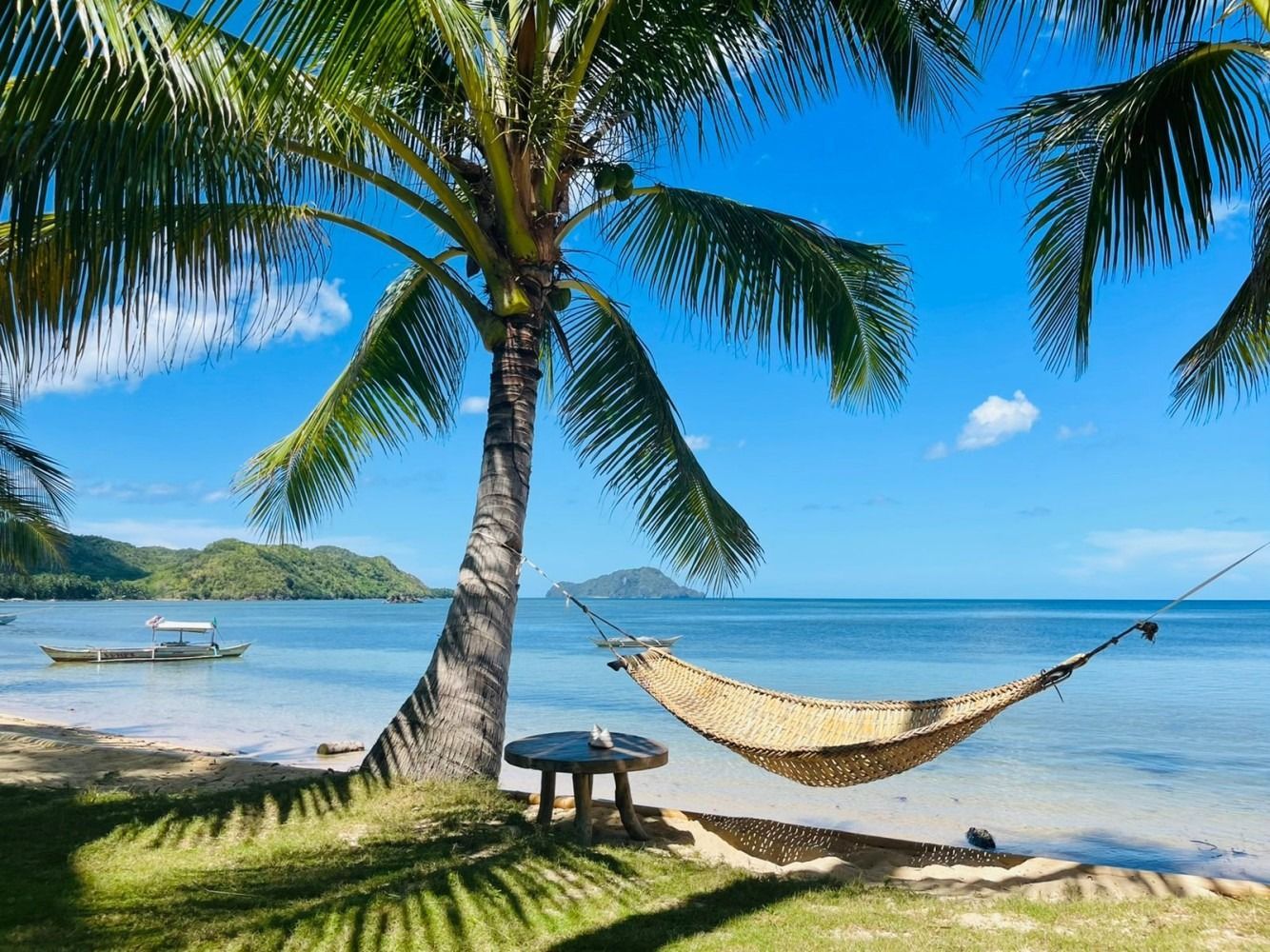 A hammock is hanging from a palm tree on a tropical beach.