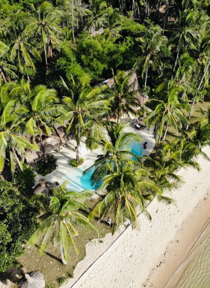 An aerial view of a swimming pool surrounded by palm trees on a beach.