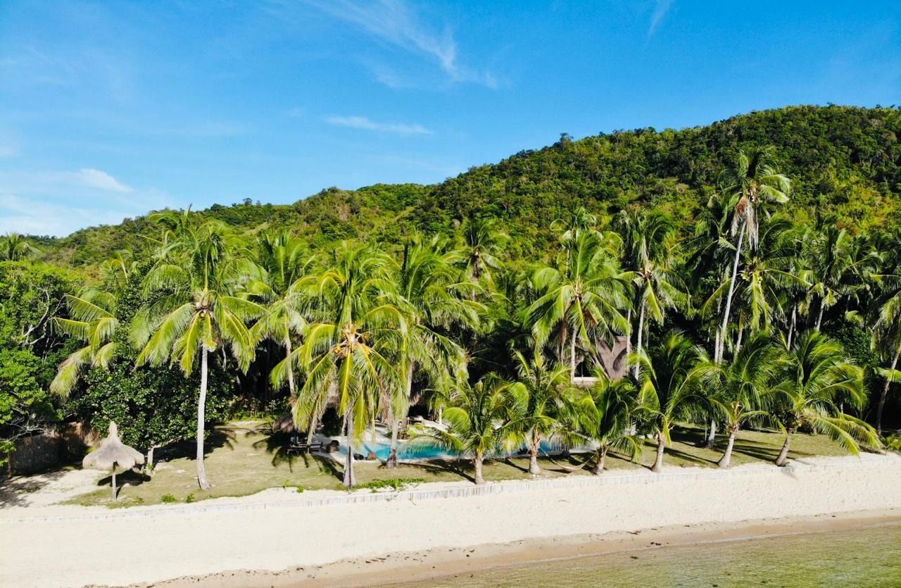 An aerial view of a beach surrounded by palm trees and mountains.