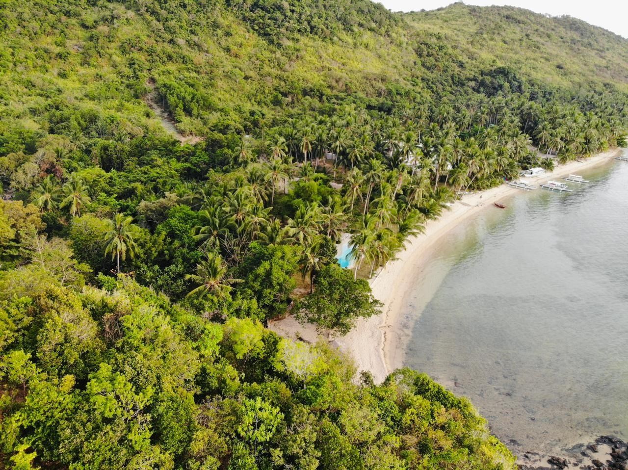 An aerial view of a beach surrounded by trees and mountains.