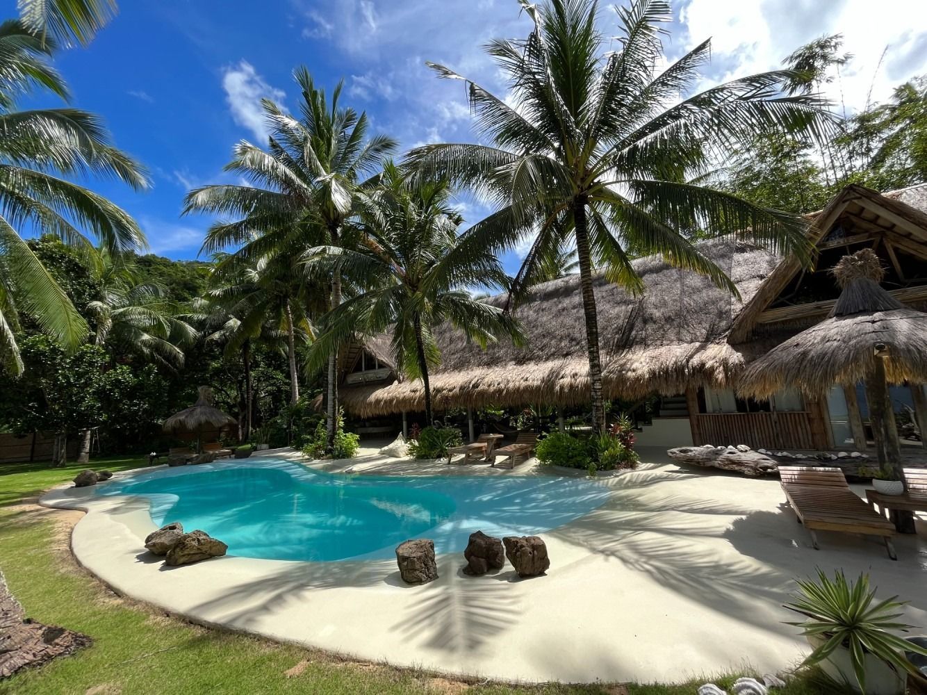 A large swimming pool surrounded by palm trees in front of a house
