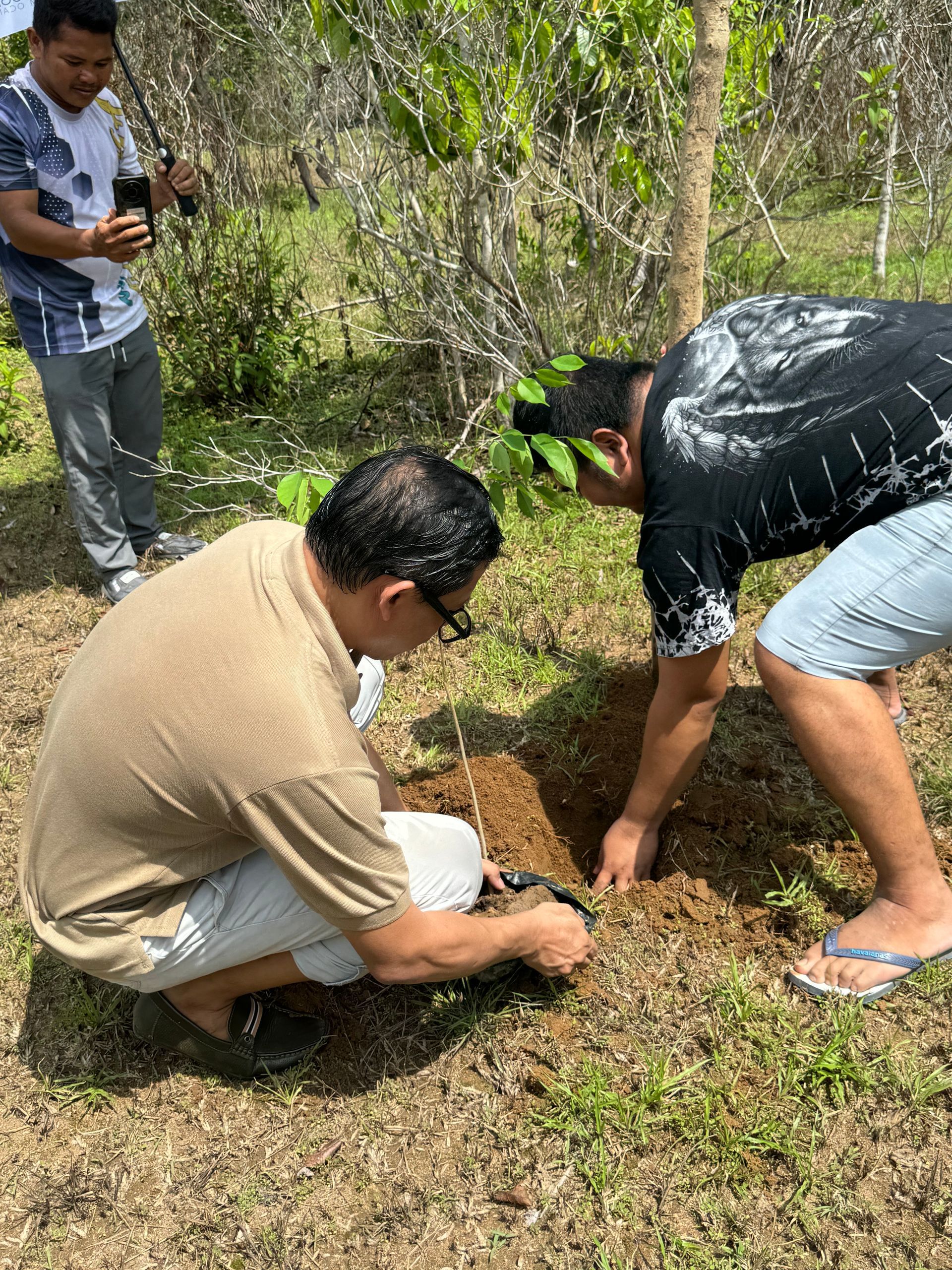 tree planting