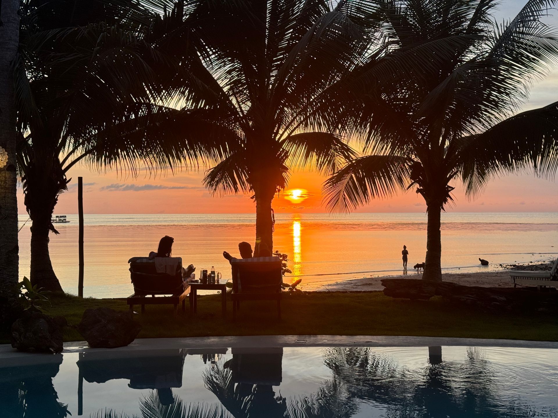 A couple sits under palm trees near a pool at sunset