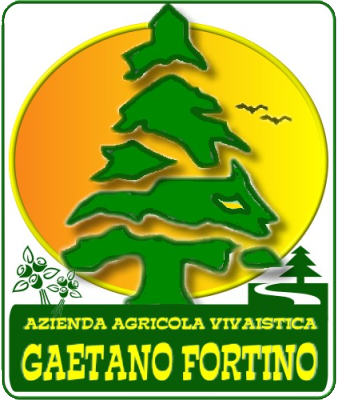 Vivaio Gaetano Fortino logo
