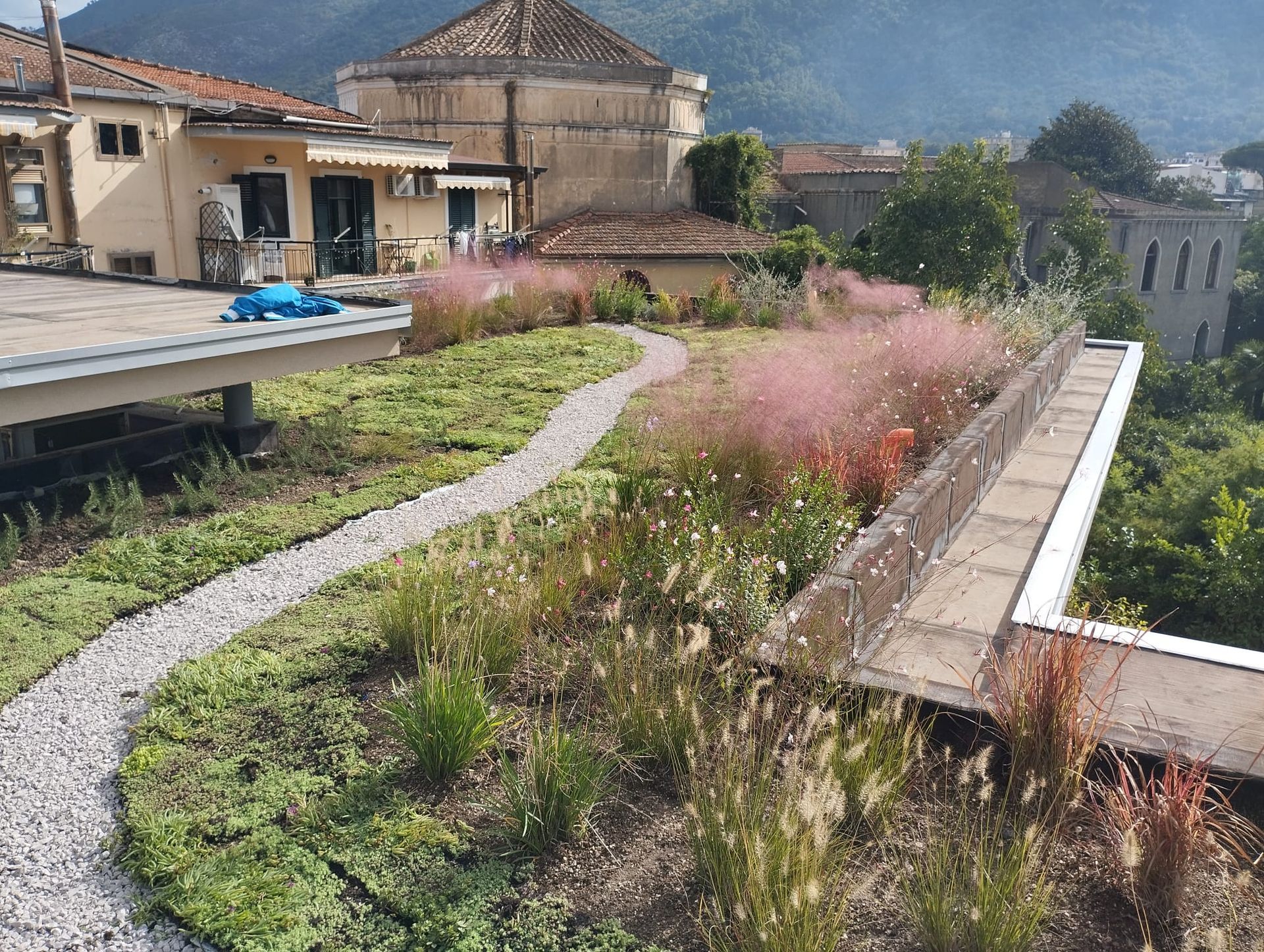 Giardino pensile con sentiero in pietra e piante fiorite, incorniciato da edifici e montagne.