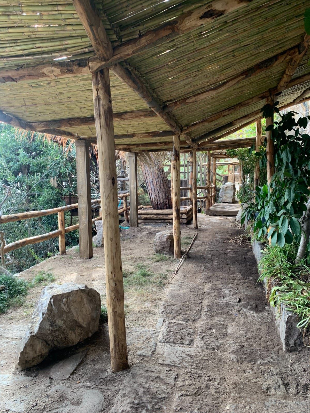 Passaggio coperto con tetto in bambù, sentiero in pietra, pali in legno e uno scorcio di verde.