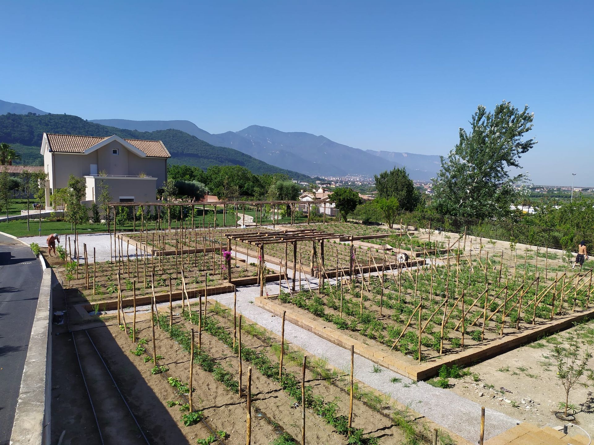 Aiule rialzate con supporti in legno e pergolato, sullo sfondo montagne e un edificio in una giornata di sole.