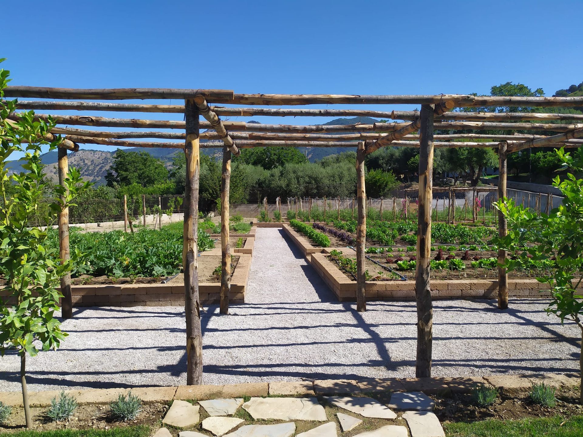 Giardino con traliccio in legno, sentiero di ghiaia e aiuole rialzate di verdure sotto un cielo azzurro.