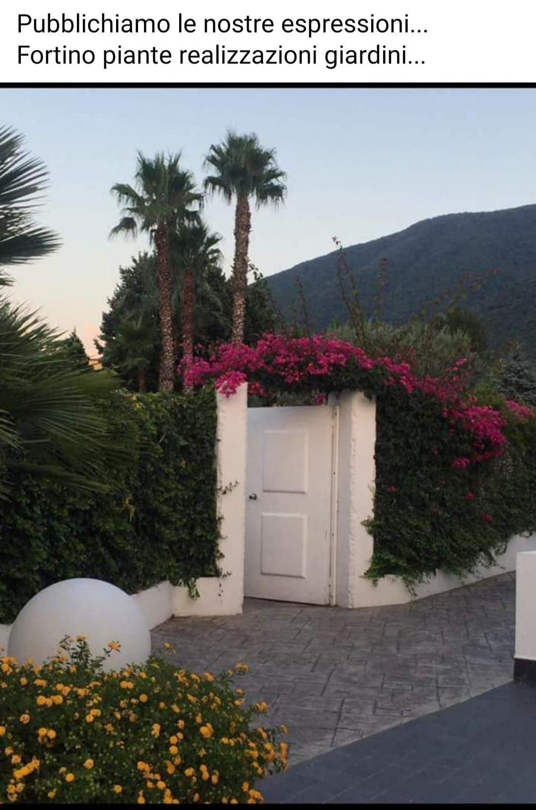 Cancello bianco con fiori rampicanti color magenta, circondato da fogliame verde, palme e montagne sullo sfondo.