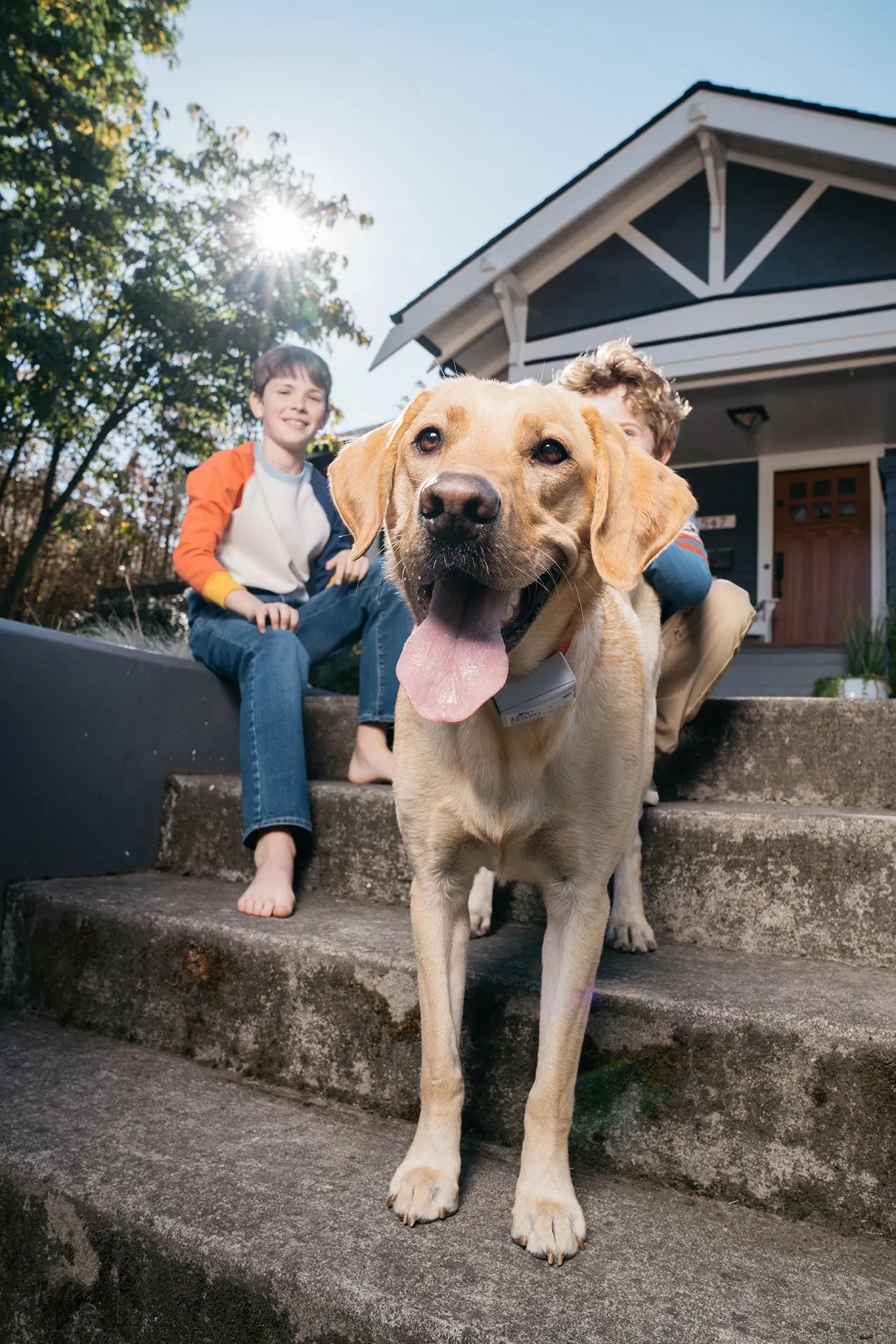 A golden Labrador retriever stands on concrete steps in front of a house, with two children sitting on the steps behind it.