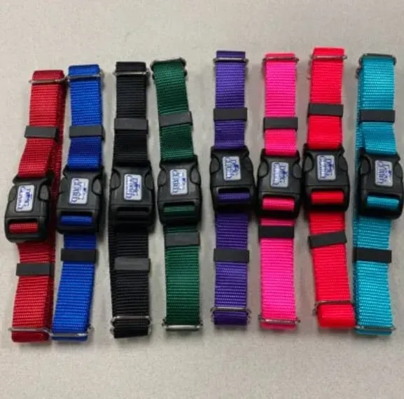 Eight colorful nylon dog collars with black plastic buckles arranged vertically side-by-side on a light surface.