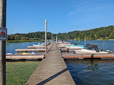 Wooden dock with boats docked on a lake, surrounded by trees under a blue sky.