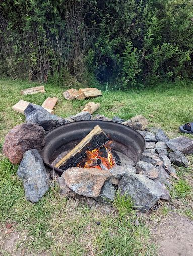 A campfire burns in a metal ring surrounded by rocks on a grassy patch, with logs nearby and trees in the background.