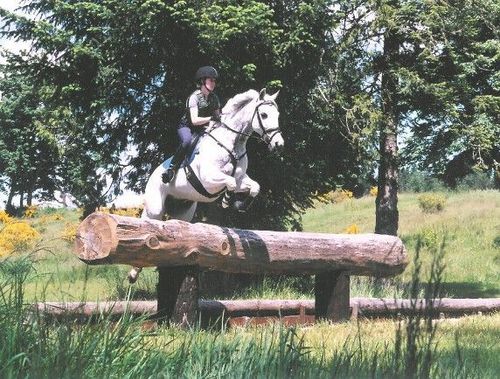 A rider on a white horse jumps over a large log in a grassy field.