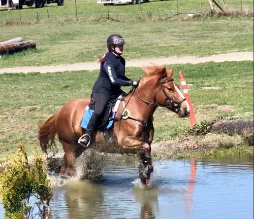A rider on a chestnut horse splashes through water during an equestrian event. They wear helmets and are in a green field.