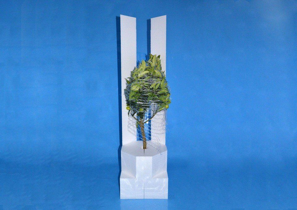 Plant protection packaging