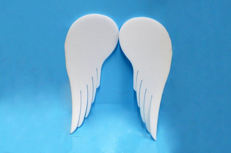 polystyrene wings