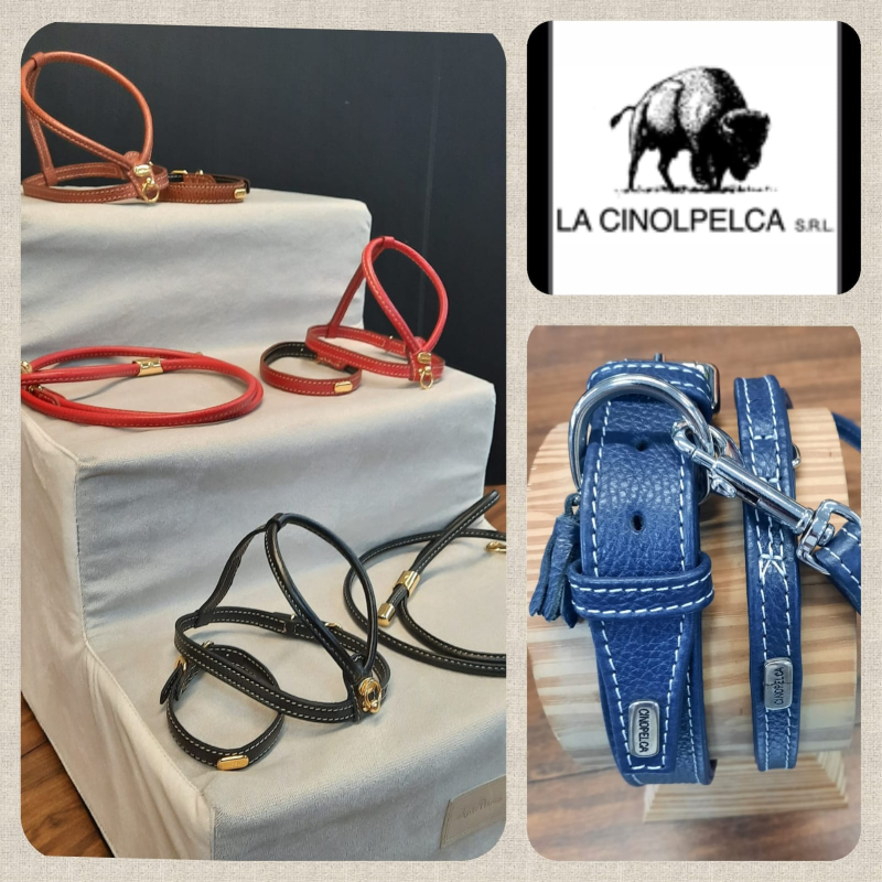 Un collage di immagini con un logo che dice la cinolpelca