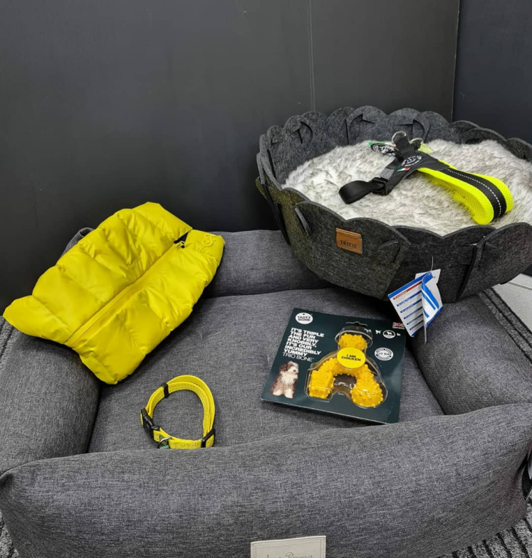 Una cuccia per cani con sopra un cuscino giallo, un collare e un guinzaglio.