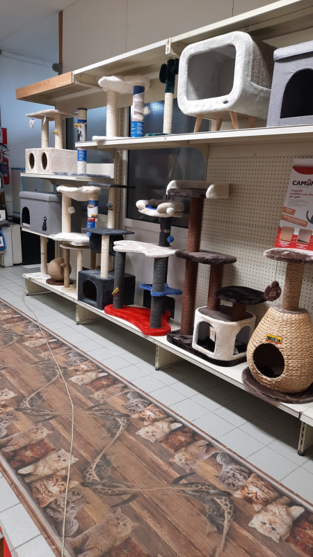 Una fila di scaffali pieni di giocattoli per gatti in un negozio.