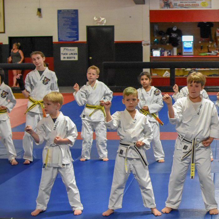 kids martial arts