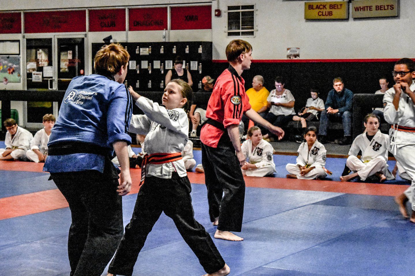 adult martial arts