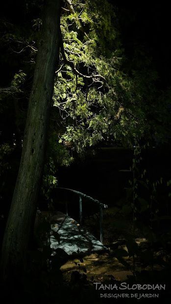 Réalisation éclairage d'ambiance aménagement paysager 56