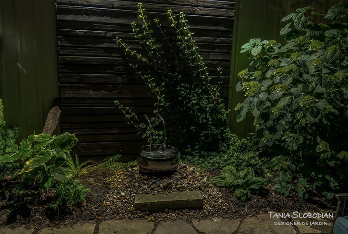 Réalisation éclairage d'ambiance aménagement paysager 54