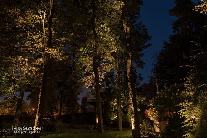 Réalisation éclairage d'ambiance aménagement paysager 51