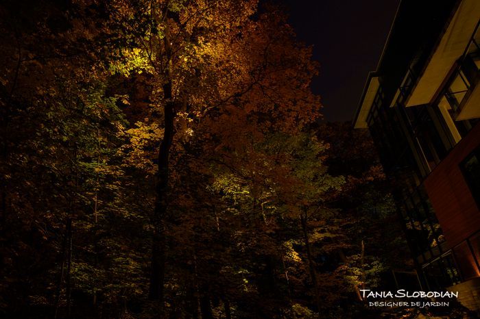 Réalisation éclairage d'ambiance aménagement paysager 49