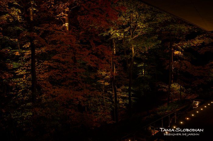 Réalisation éclairage d'ambiance aménagement paysager 48