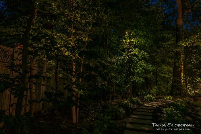 Réalisation éclairage d'ambiance aménagement paysager 43