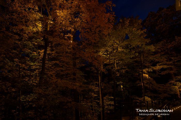 Réalisation éclairage d'ambiance aménagement paysager 34