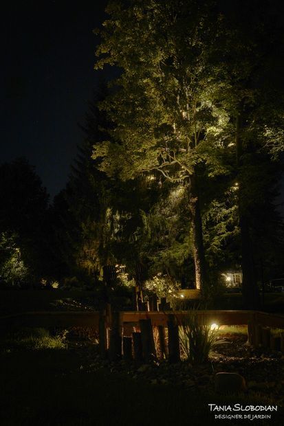 Réalisation éclairage d'ambiance aménagement paysager 31