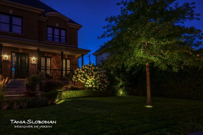 Réalisation éclairage d'ambiance aménagement paysager 29