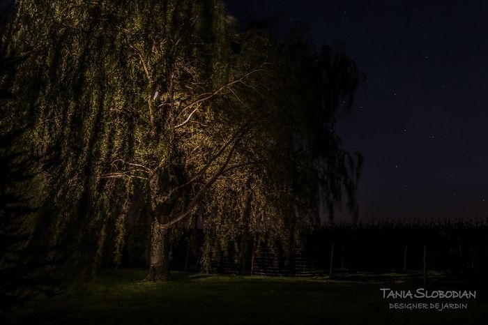 Réalisation éclairage d'ambiance aménagement paysager 57