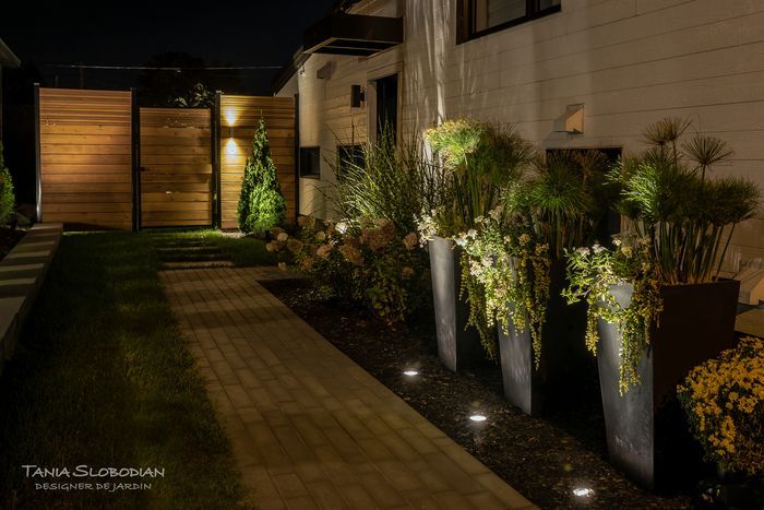 Réalisation éclairage d'ambiance aménagement paysager 24