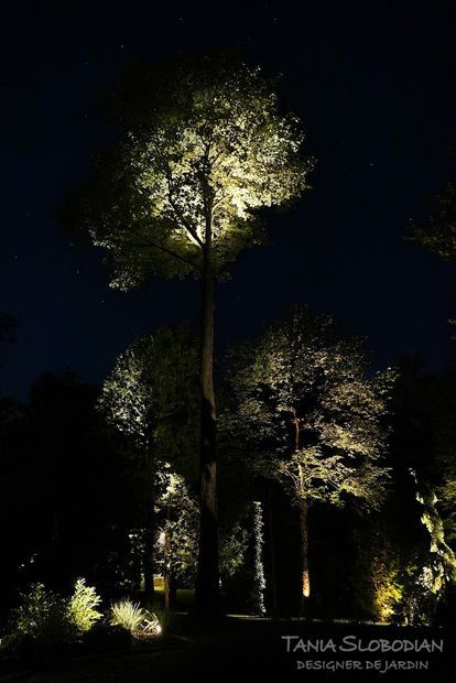 Réalisation éclairage d'ambiance aménagement paysager 12