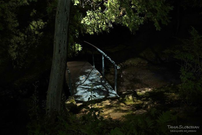 Réalisation éclairage d'ambiance aménagement paysager 10