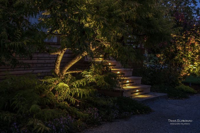 Réalisation éclairage d'ambiance aménagement paysager 5