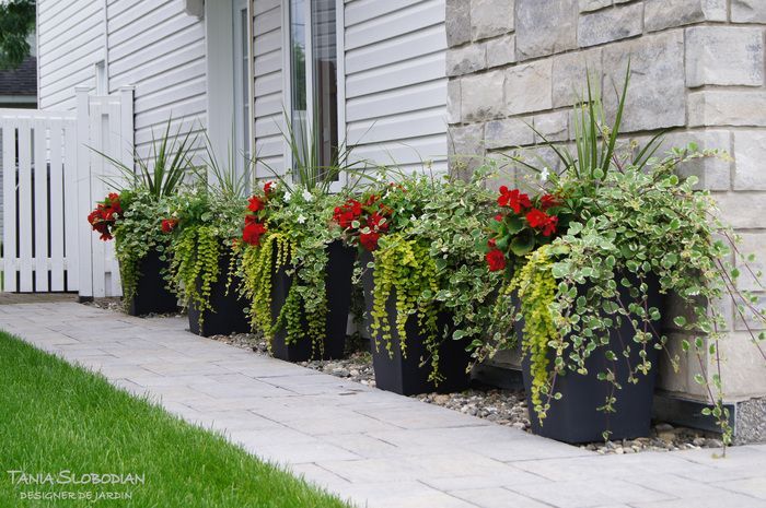 Réalisation aménagement paysager 109