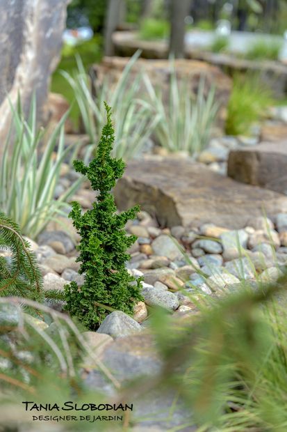 Réalisation aménagement paysager 97