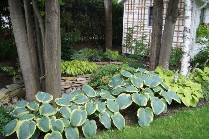 Réalisation aménagement paysager 87