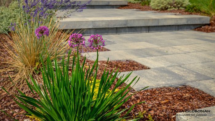 Réalisation aménagement paysager 81