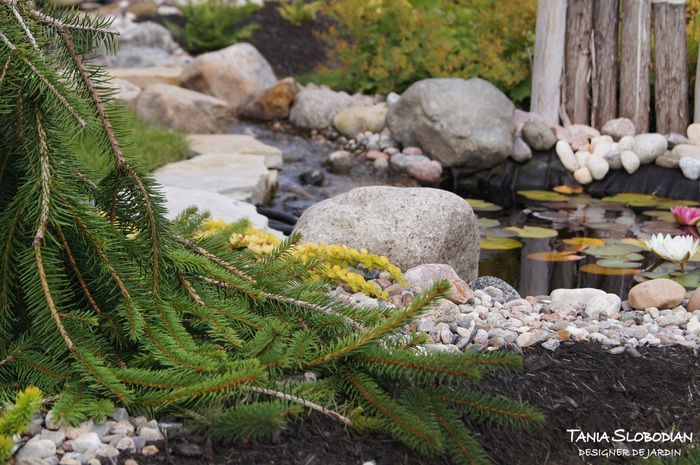 Réalisation aménagement paysager 72