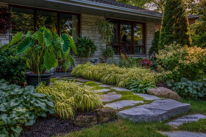 Réalisation aménagement paysager 49