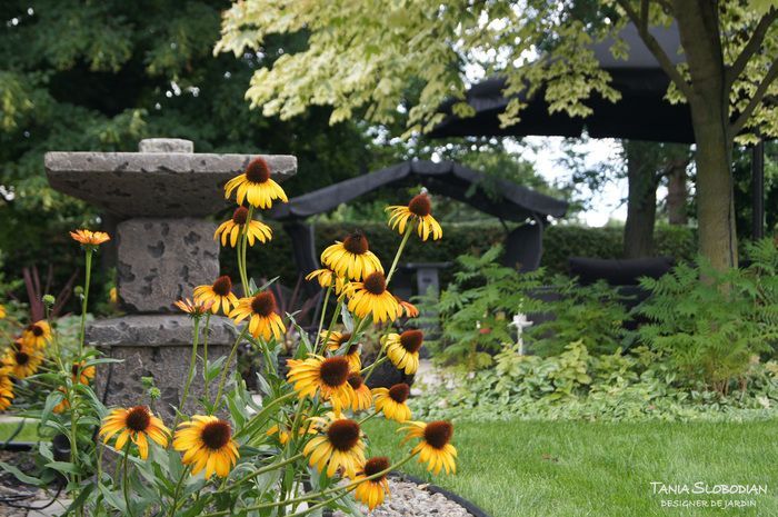 Réalisation aménagement paysager 29